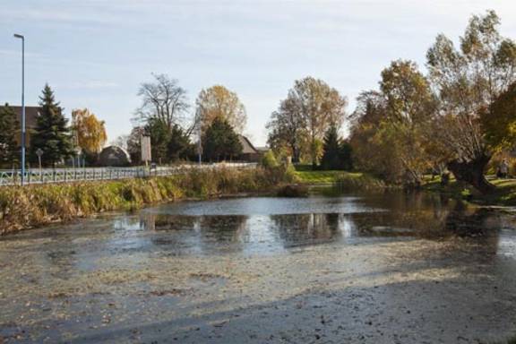 Wallendorf Teich